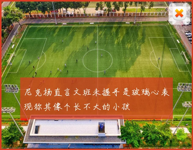 尼克杨直言文班未握手是玻璃心表现称其像个长不大的小孩