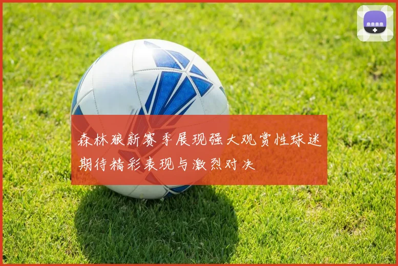 森林狼新赛季展现强大观赏性球迷期待精彩表现与激烈对决